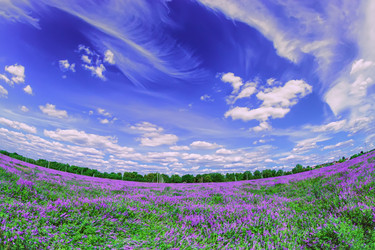 Similar image 10815444