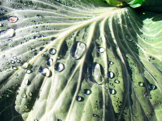 Similar image 10816096