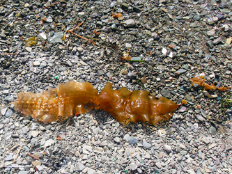 Similar image 10816097