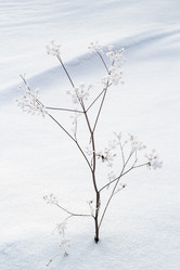 Similar image 10817073