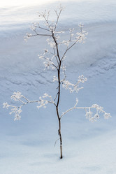 Similar image 10817085