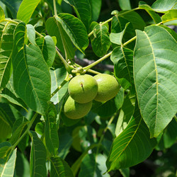 Similar image 10817090