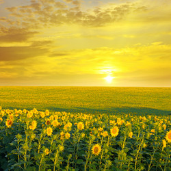 Similar image 10817108