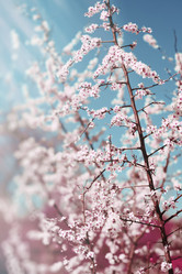 Similar image 10817642