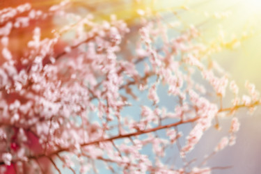 Similar image 10817644