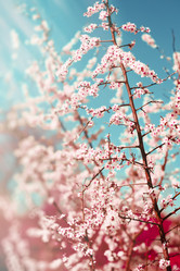 Similar image 10817647