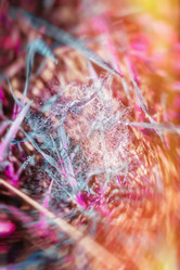 Similar image 10817664