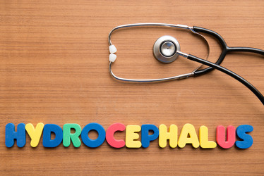 Similar image 10818029