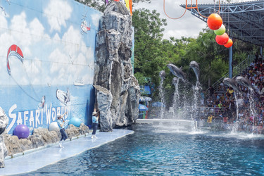 Similar image 10818239