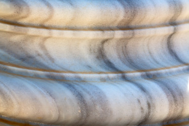 Similar image 10818600