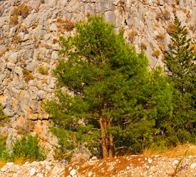 Similar image 10818859