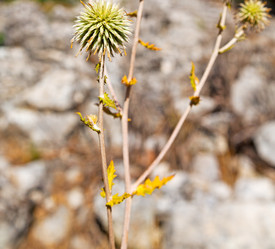 Similar image 10818862