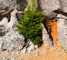 Similar image 10818868