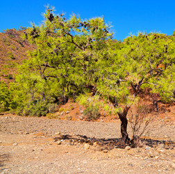 Similar image 10818873