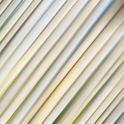 Similar image 10818875