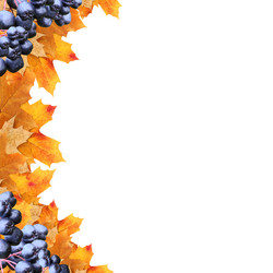 Similar image 10819229