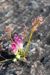 Similar image 10820447