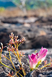 Similar image 10820461