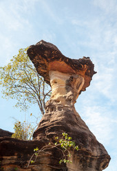 Similar image 10820463