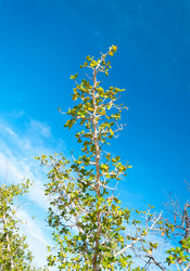 Similar image 10820479