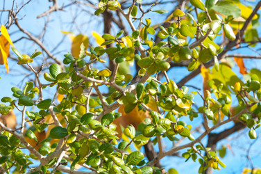 Similar image 10820480