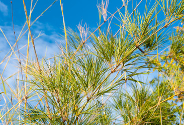 Similar image 10820481