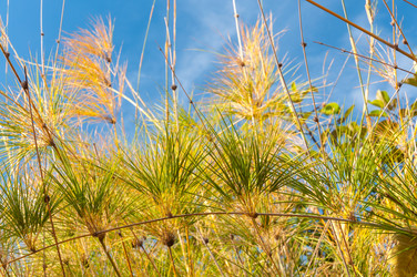 Similar image 10820484