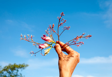 Similar image 10820490