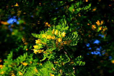 Similar image 10821509