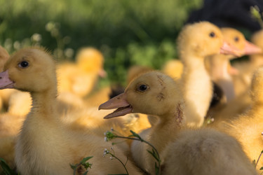 Similar image 10822454