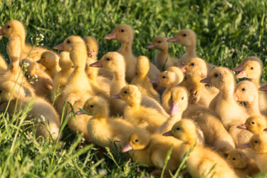 Similar image 10822458