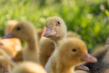 Similar image 10822460