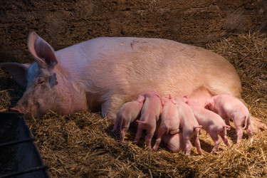 Similar image 10822480