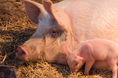 Similar image 10822510