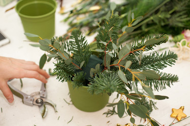 Similar image 10822531