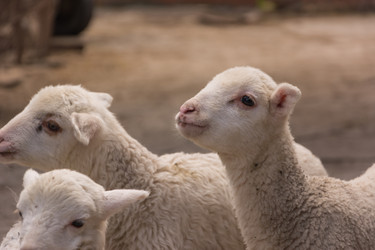 Similar image 10822759