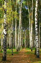 Similar image 10836573