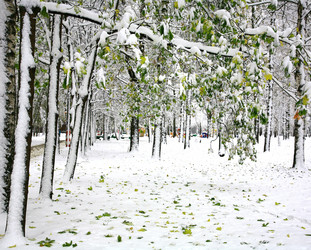 Similar image 10836575