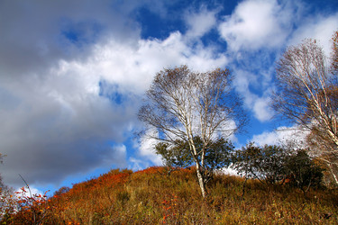 Similar image 10836625