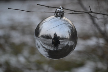 Similar image 10836702