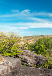 Similar image 10836712