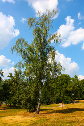 Similar image 10836740