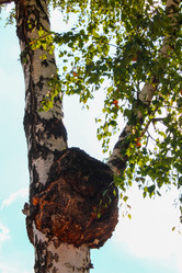 Similar image 10836742