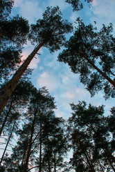 Similar image 10836743