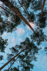 Similar image 10836745