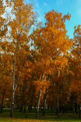 Similar image 10836746