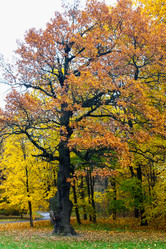 Similar image 10836747