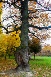 Similar image 10836749