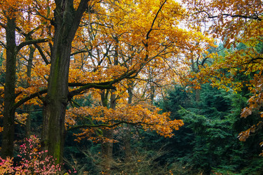 Similar image 10836750