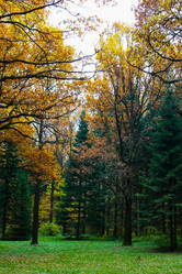 Similar image 10836752